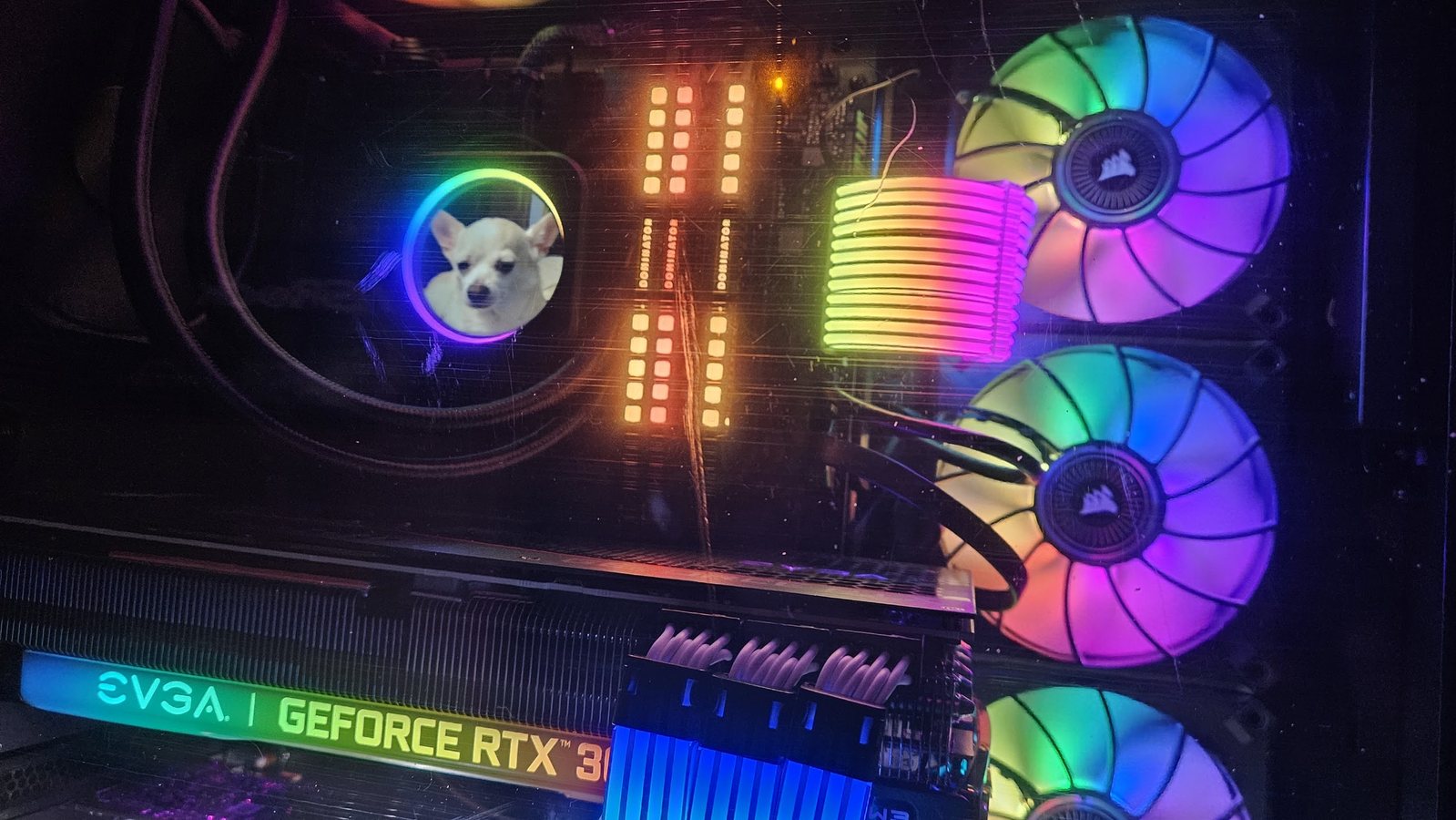 Custom RGB gaming PC interior with liquid cooling and sleeved cables
